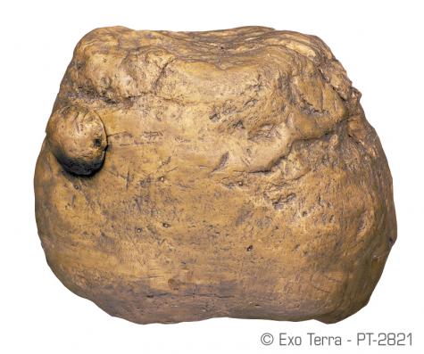 Exo Terra Cricket Feeding Rock