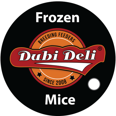 Frozen Mice for Sale - White