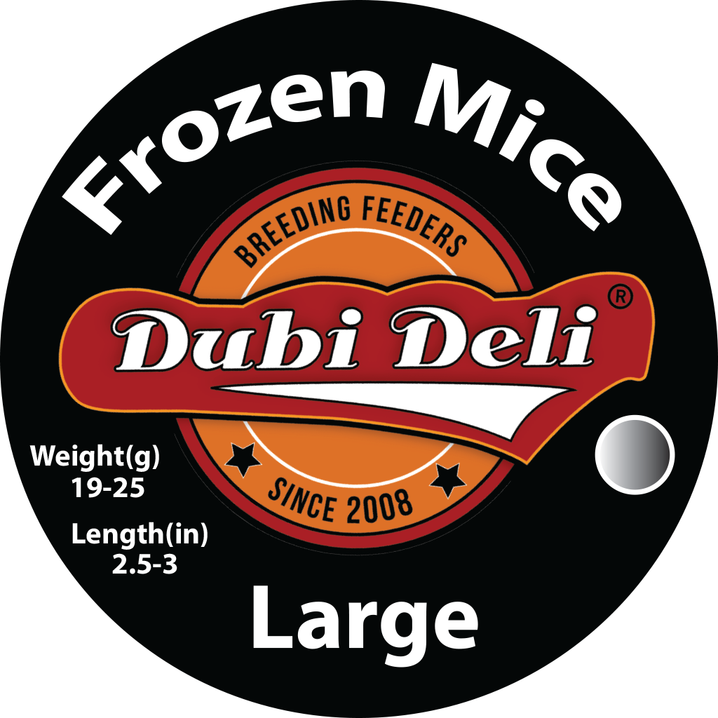 Frozen Mice (White):  Large